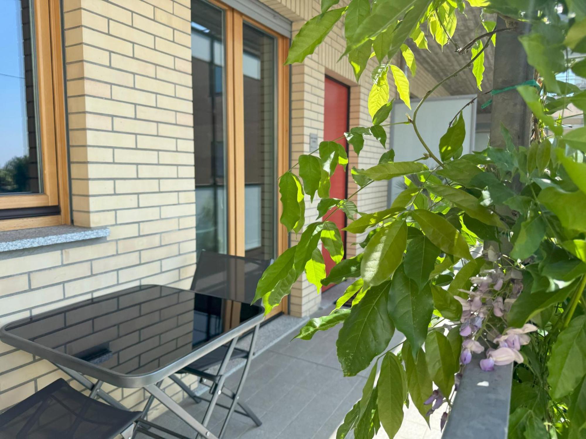 Glicine Apartament *