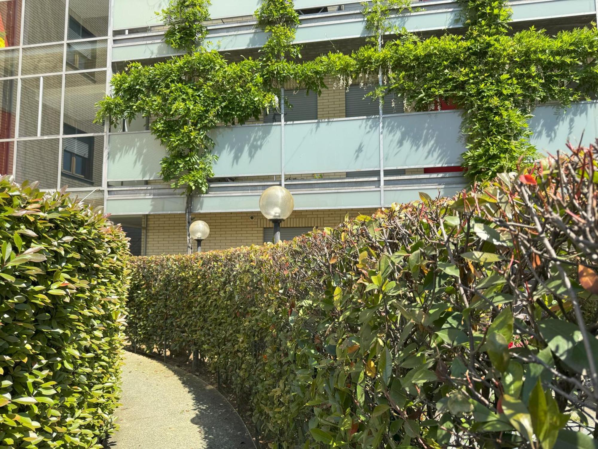 Apartament Glicine *